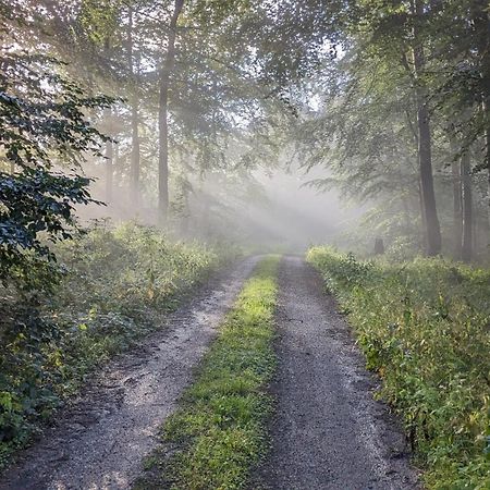 Ferienwohnung Rumbeck Hessisch Oldendorf Eksteriør bilde